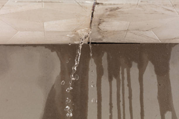 Professional Water Damage Repair technician working in Eastlake, OH